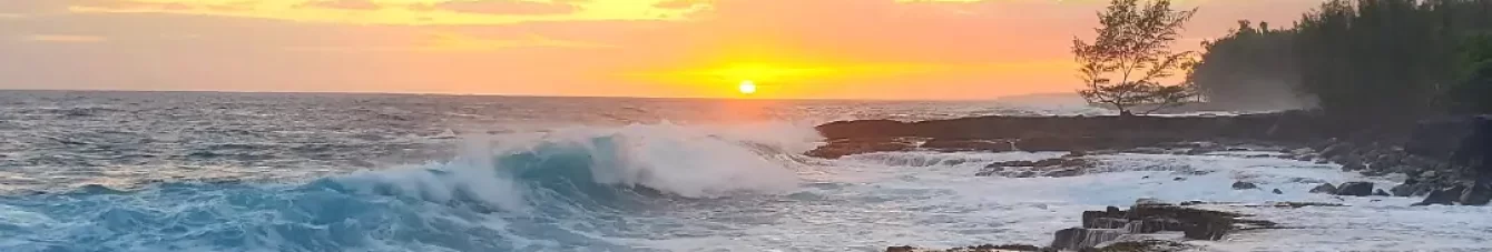 Hawaiian Paradise Park Owners Association